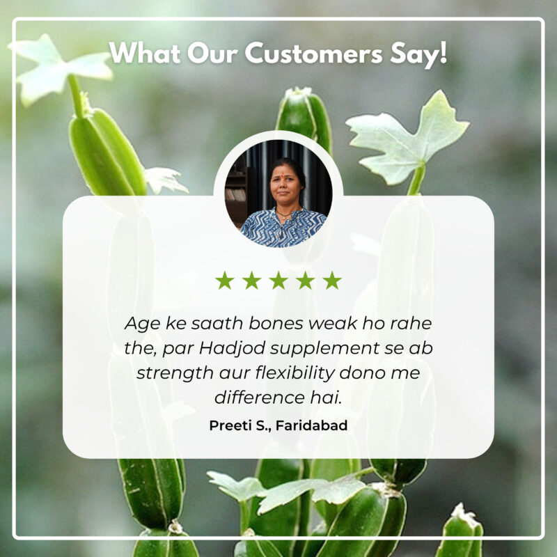 Cesvila Cissus quadrangularis 500 mg – 60 Tablets