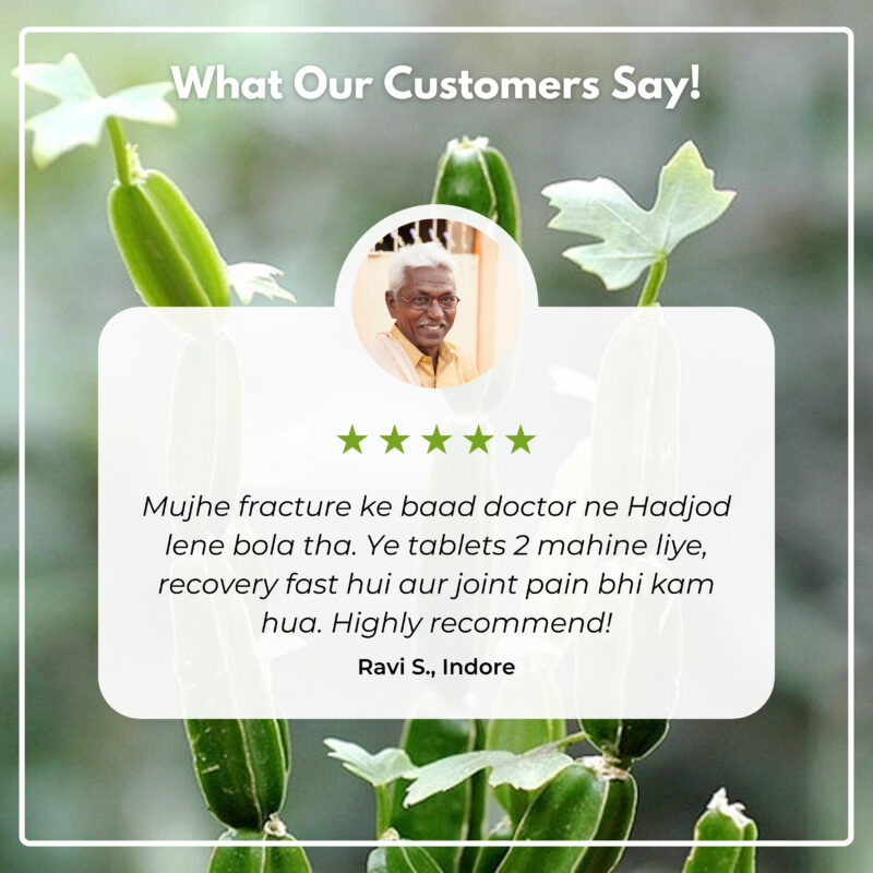 Cesvila Cissus quadrangularis 500 mg – 60 Tablets